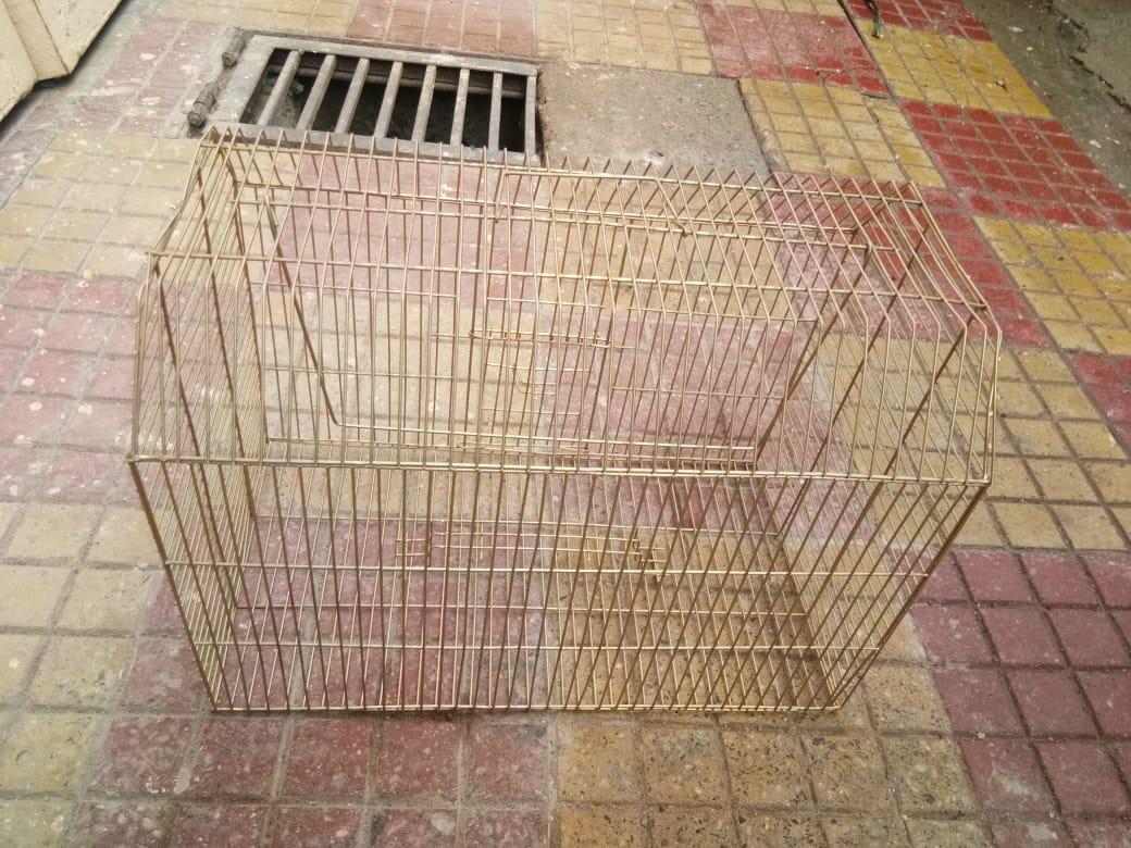 Bird Cage 